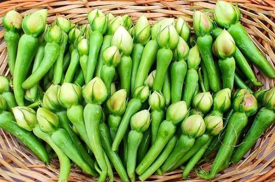 White Clove Bean — supplied reference photograph