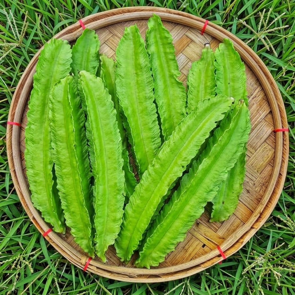 Green Winged Bean — supplied reference photograph